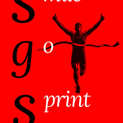 SOKOL_S95