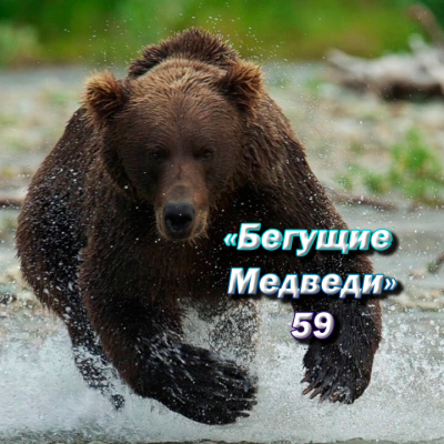 Бегущие Медведи 59