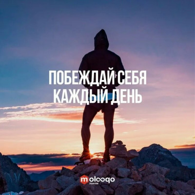 Wildrunner 🇷🇺
